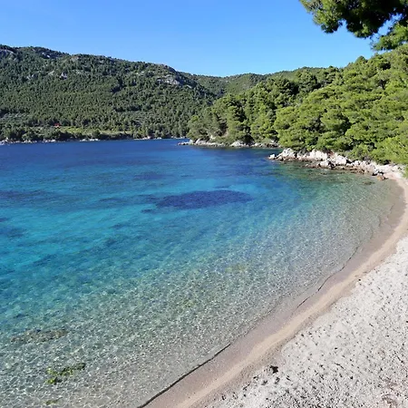 With Parking Space Zuljana, Peljesac - 25064 Daire Žuljana
